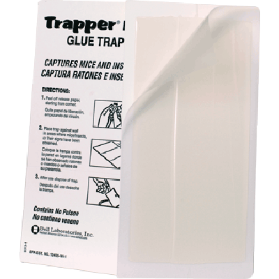 Trapper LTD piège anti-souris à glue
